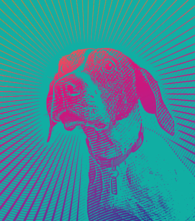 Anjing Penunjuk Berharap Untuk Diadopsi Ilustrasi Stok Unduh Gambar Anjing Penunjuk Berharap Untuk Diadopsi Ilustrasi Stok Unduh Gambar