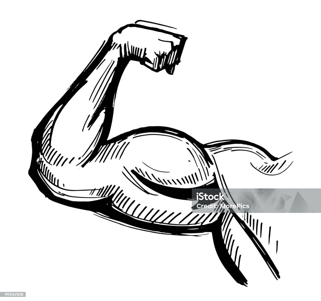 Arm-Muskel. Hand gezeichnete Skizze umgewandelt, Vektor - Lizenzfrei Muskulös Vektorgrafik
