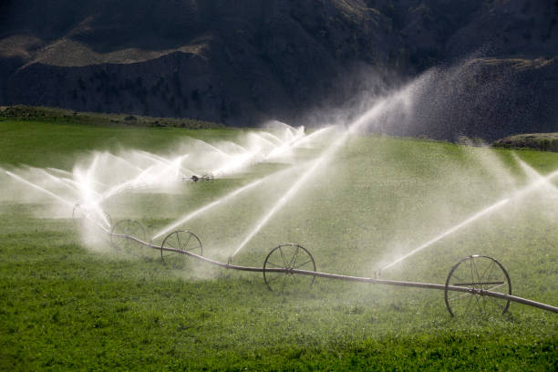 istock Agricultural Equipment Sprinkler Irrigation Wheel 993193018