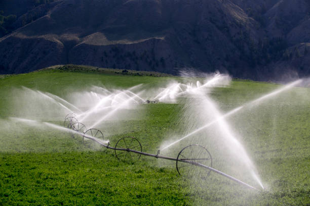 istock Agricultural Equipment Sprinkler Irrigation Wheel 993193090