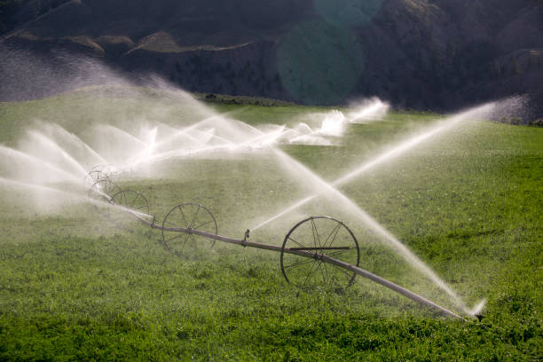 istock Agricultural Equipment Sprinkler Irrigation Wheel 993193410