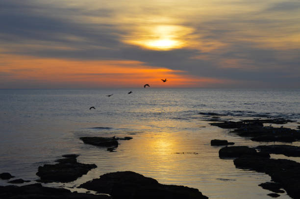istock Still ocean at sunset with birds in flight 993196754