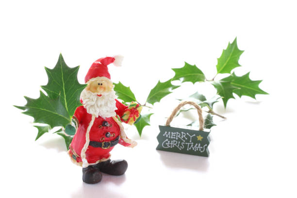 Santa Claus and  christmas holly