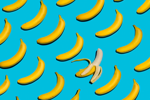 This is an overhead photograph of large yellow bananas lined in rows with a harsh shadow on a blue background. There is one banana peeled open.