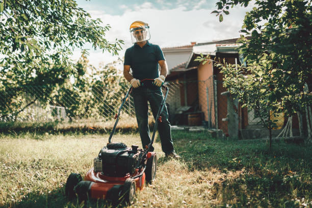 istock Mature man moving a lawn in the home backyard 993246872