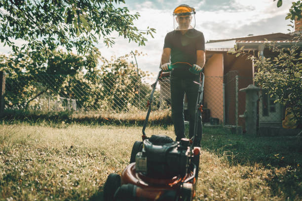 istock Mature man moving a lawn in the home backyard 993247062