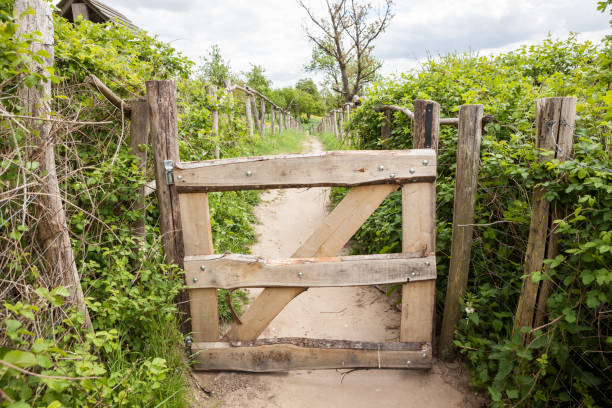 istock An wooden fence 993256664