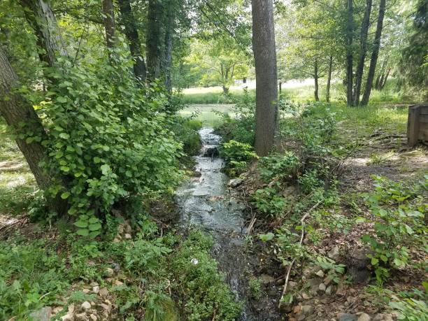 istock small creek or river going into lake with trees 993263856