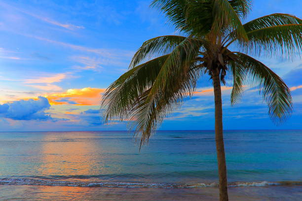 360+ Montego Bay Sunset Stock Photos, Pictures & Royalty-Free Images ...