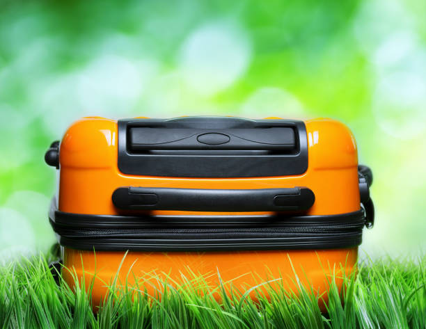 istock Orange suitcase in green grass on natural background 993308250