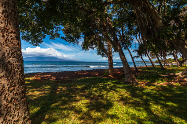 istock Ocean in Maui, Hawaii 993317314