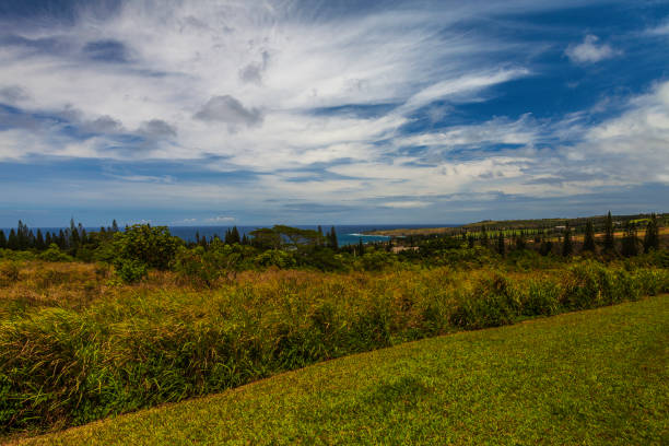 istock Ocean in Maui, Hawaii 993318134
