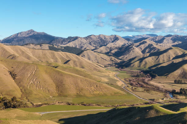 vista aerea delle dolci colline nella regione di marlborough, nuova zelanda - marlborough region zealand new new zealand foto e immagini stock