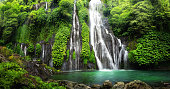Jungle waterfall cascade in tropical rainforest. Banyumala Twin Waterfall In Bali Jungle