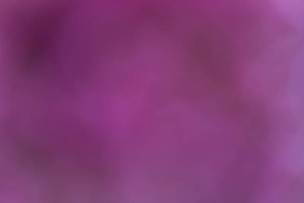 istock Abstract blur background from color of flower texture 993346746