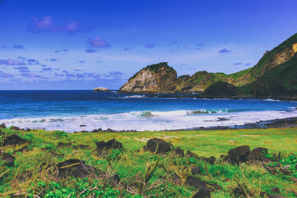 istock Beautiful Beach at Fernando de Noronha island. 993350480