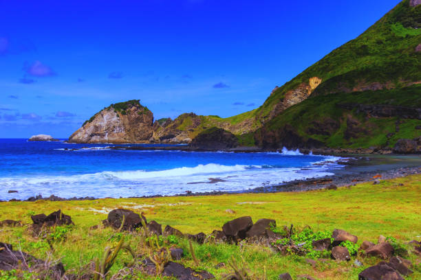istock Beautiful Beach at Fernando de Noronha island. 993354586
