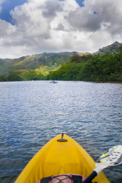 istock Kayaking on Wailua River in Kauai, Hawaii 993359460