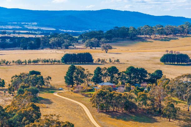 istock Rural house among trees and fields in Australian countryside 993359592