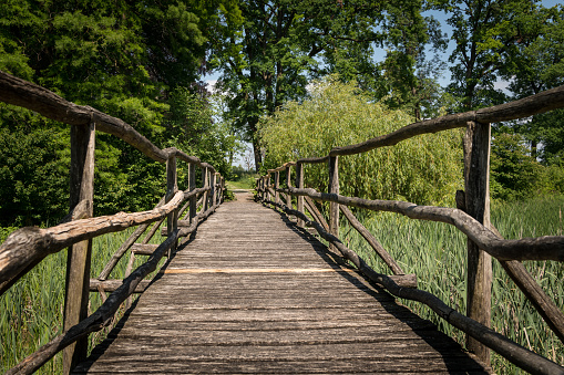 A narrow bridge made of wood leading over a wetland full of reed on a sunny day in spring