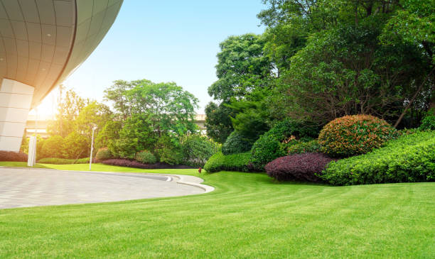 carretera de asfalto junto al moderno edificio - ornamental garden fotografías e imágenes de stock