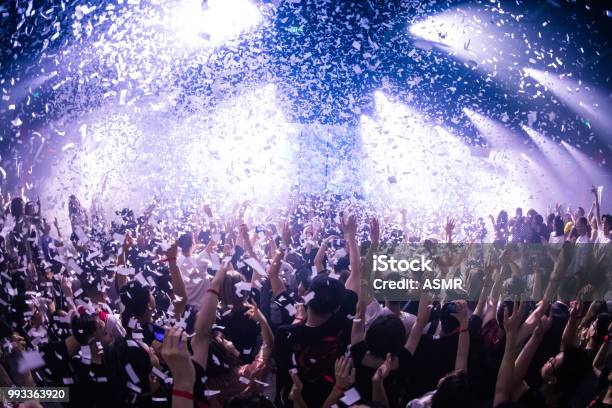 Cheering Crowd At A Concert Stock Photo - Download Image Now - Party - Social Event, Nightclub, Crowd of People
