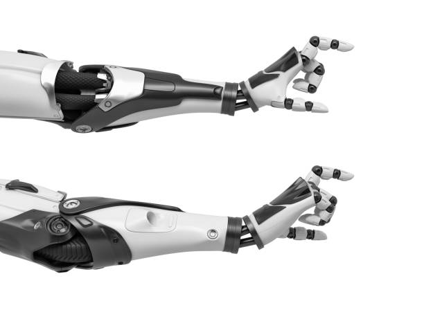 istock 3d rendering of two robot arms with hand thumb and index finger at a distance between each other like for measuring 993372006