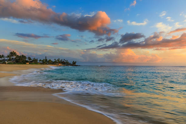 istock Makaha beach at sunset in Oahu Island, Hawaii 993381126