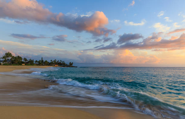 istock Makaha beach at sunset in Oahu Island, Hawaii 993381132