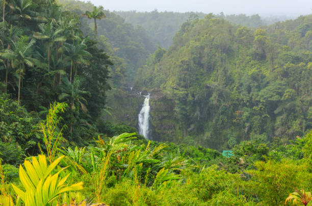 cascata di akaka - hawaii islands big island waterfall nobody foto e immagini stock