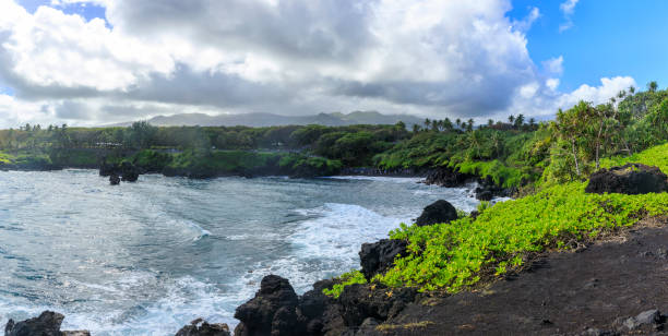 istock Waianapanapa State Park 993381548