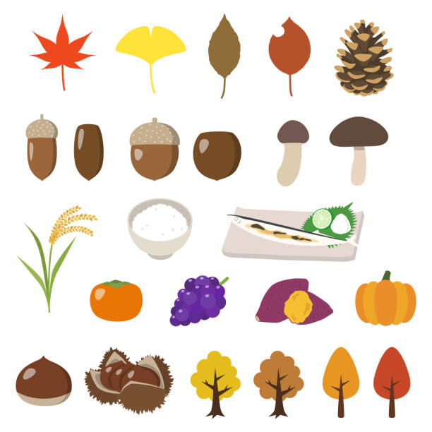 秋の味覚 イラスト素材 秋 食べ物 栗 さんま Istock 秋の味覚 イラスト素材 秋 食べ物 栗 さんま Istock