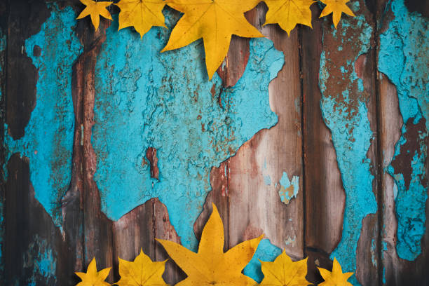 Autumn background with yellow maple leaves on blue wooden planks.