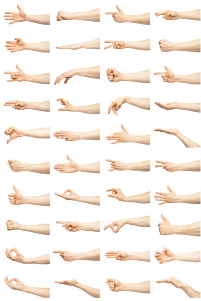 istock Multiple male caucasian hand gestures isolated over the white background 993406594