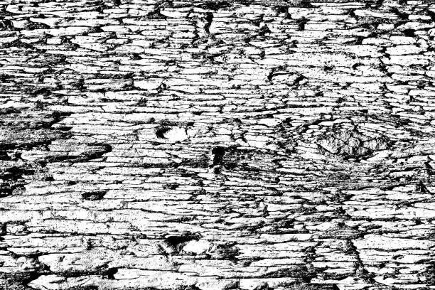 istock Texture grunge black and white. Abstract monochrome background 993419258