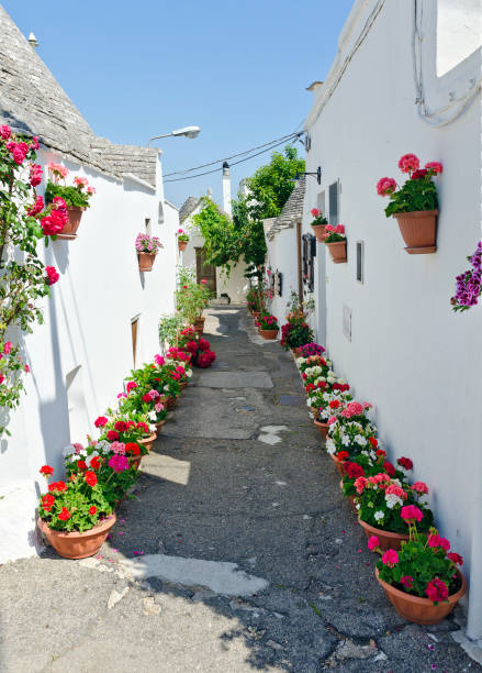istock White narrow street with flowers 993420198