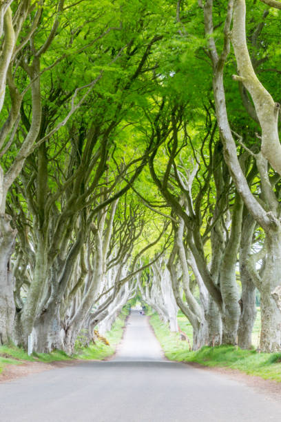 istock Antrim Coast, N. Ireland 993426290