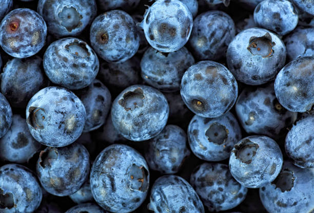 istock Texture of blueberry berries close up. Fresh blueberry background. 993426318