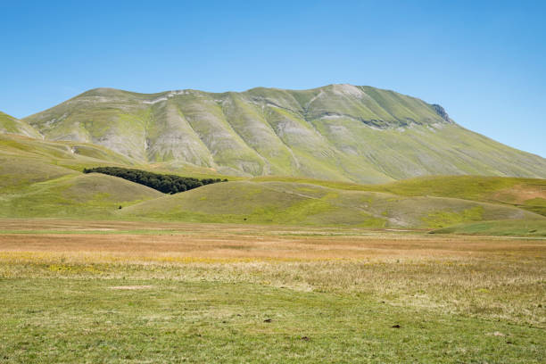 istock Castelluccio of Norcia Valley 993426464