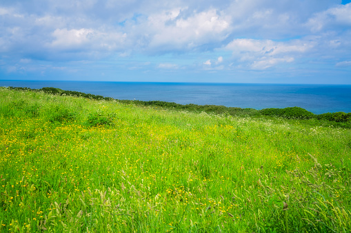 Landscape of the green rural Cornish hillside meadow, Cornwall, England, UK