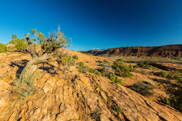 istock Scenery in the Arches National Park, Utah, on a beautiful autumn day 993439926