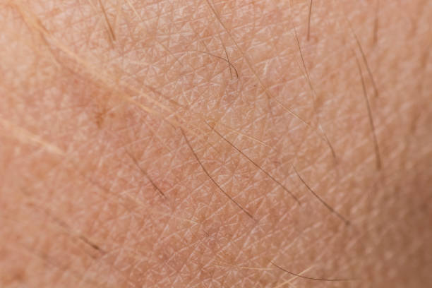 istock Skin and Small Hairs Close Up 993463374