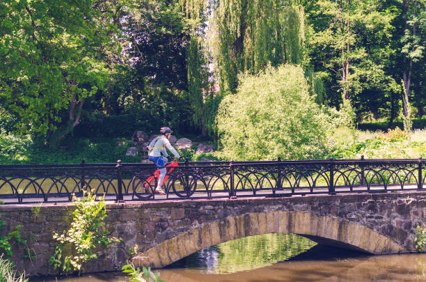 istock Cyclist in helmet riding in park on bridge 993463696