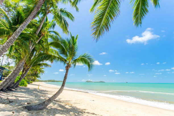 istock Clifton Beach in Carins, Queensland, Australia 993467080