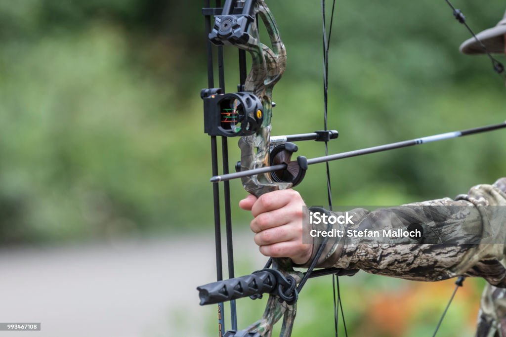 Quelqu'un qui tient un composé de chasse à l’arc et la flèche - Photo de Type de chasse libre de droits