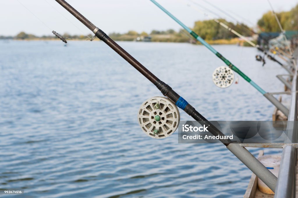 https://media.istockphoto.com/id/993474516/photo/many-fishing-rods-stand-in-a-row-with-vintage-spinning-coils-against-the-background-of-a-wide.jpg?s=1024x1024&w=is&k=20&c=ehWyyGPngSCNAU3AKwtOd2VUqWNQyd0sQ2CV_bTdWCY=