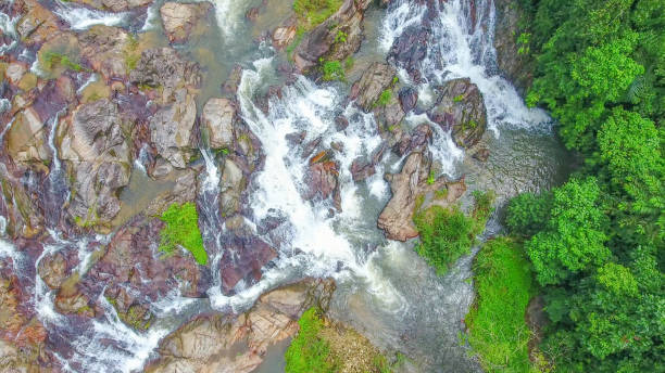 foresta tropicale a colpo aereo e cascata a sud della thailandia - stream river water spring foto e immagini stock