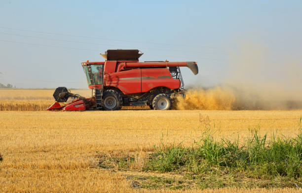 istock Harvesting combine in the summer field 993509510
