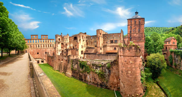 Ruins of Heidelberg Castle in Spring, panoramic image Ruins of Heidelberg Castle (Heidelberger Schloss) in Spring. This panoramic image was made in Heidelberg, Germany. heidelberg germany photos stock pictures, royalty-free photos & images