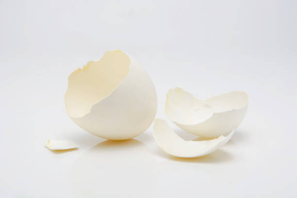 Broken Egg The broken white egg on the white background eggshell stock pictures, royalty-free photos & images